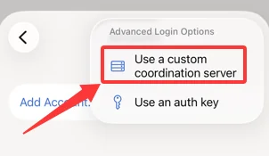 Select Use a custom coordination server in the Tailscale iOS app