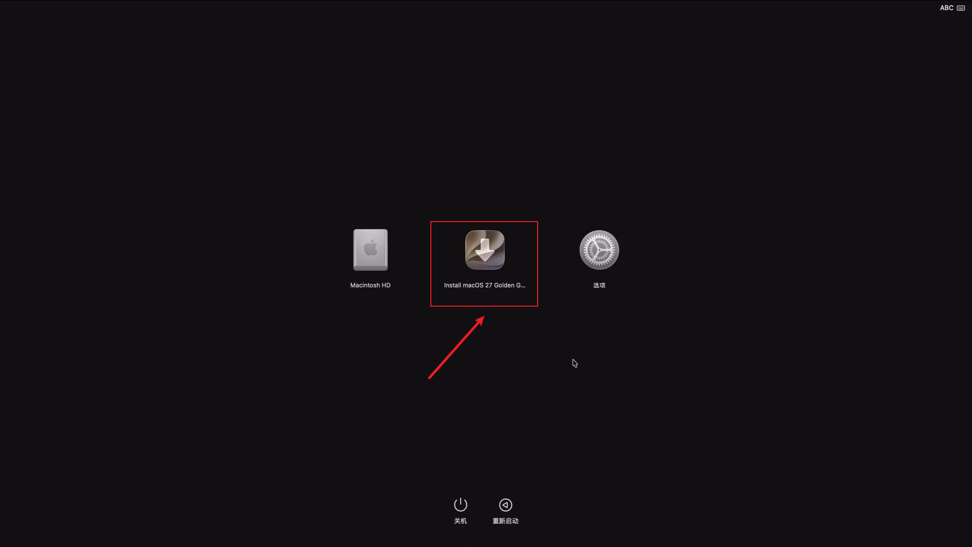 Selecting the mounted installation media in the startup options screen