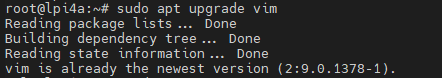 usage_debian_apt_upgrade_vim