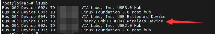 usage_debian_lsusb_list_device